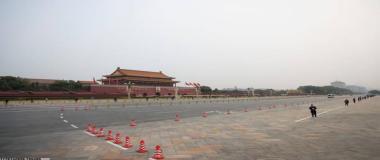 高效的项目沟通与反馈机制